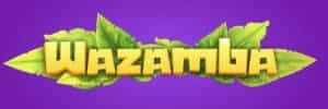 Blaze como funciona